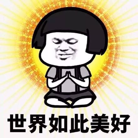 原创流浪狗兄弟被尼姑收养,竟成为寺庙的招财狗:我欲修仙,法力无边