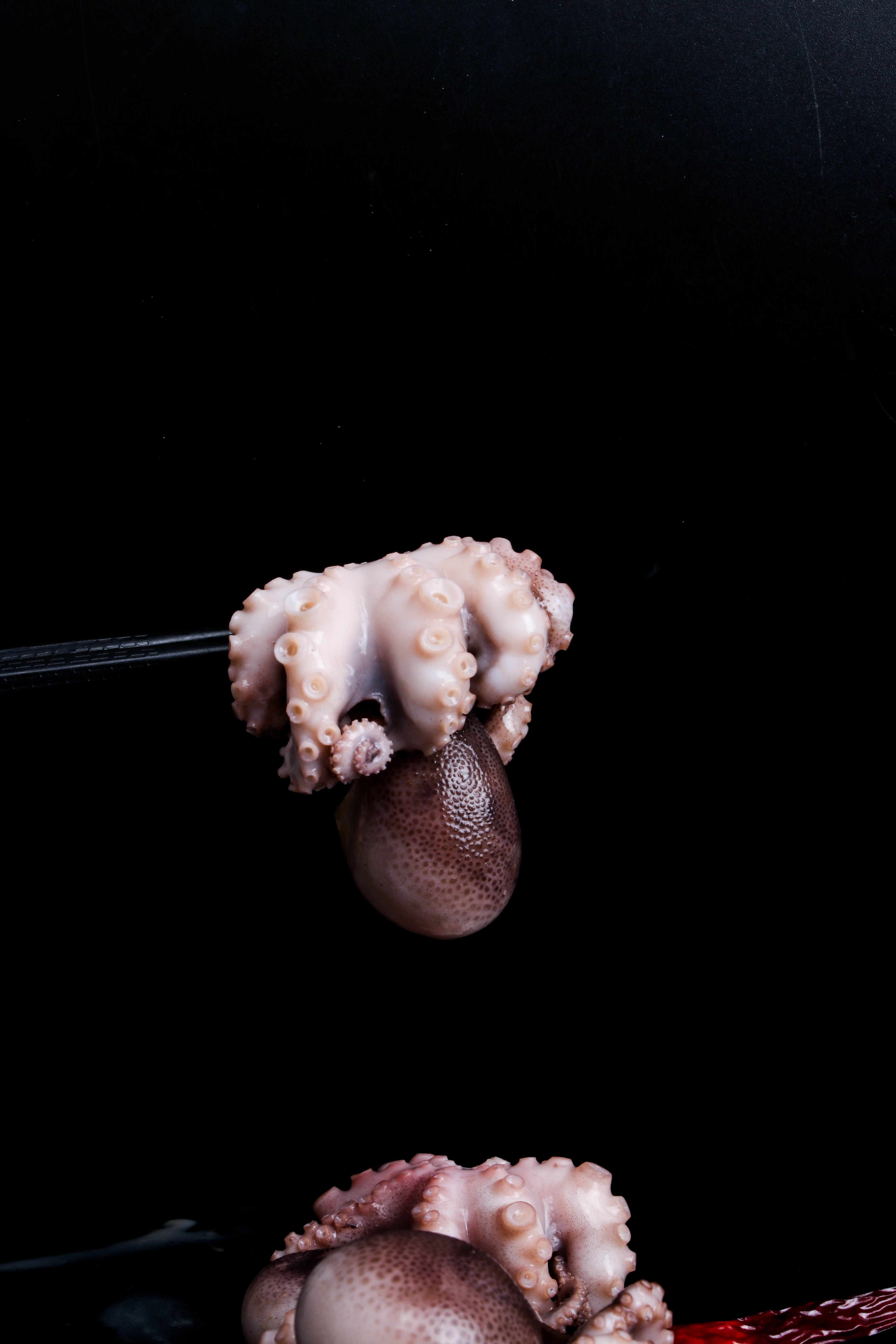 平均每天被爆头8000次--小章鱼