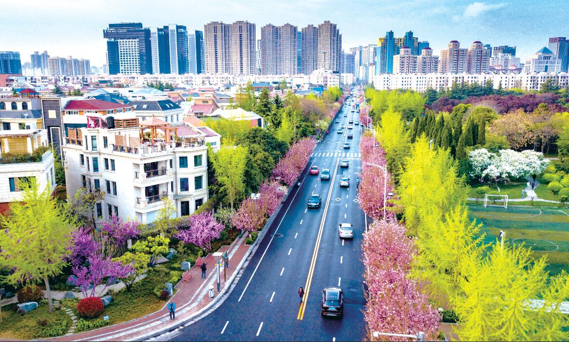绿化城市排名_城市绿化