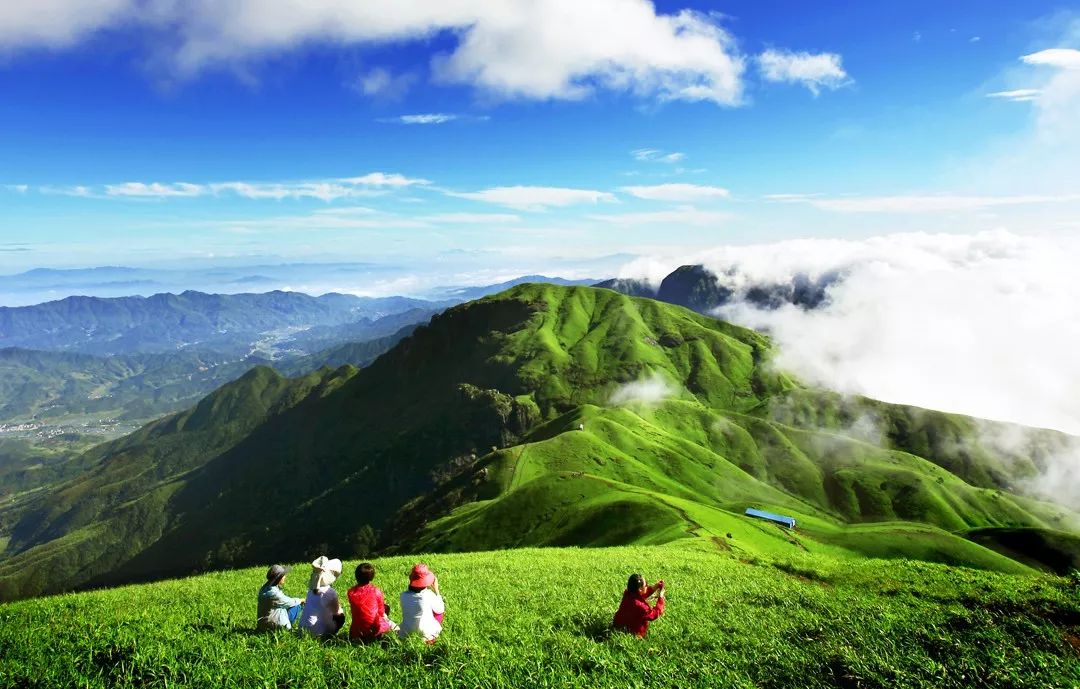 春夏是武功山最美的季节,10万亩高山草甸,与连绵的山峰相映成趣