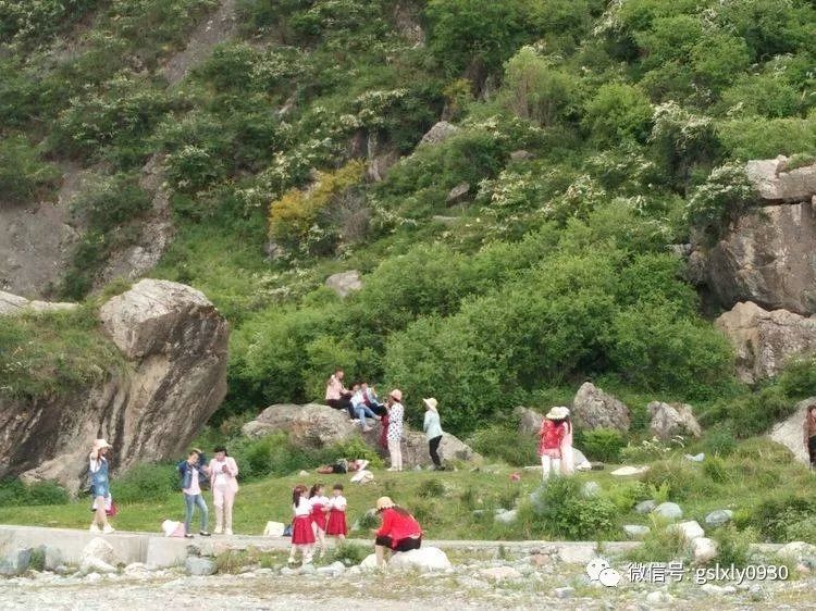 积石山县大山庄峡举办第七届花儿会