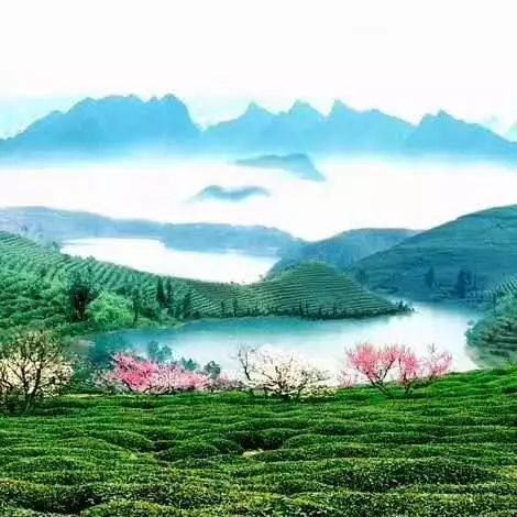石阡有多少人口_石阡温泉(3)