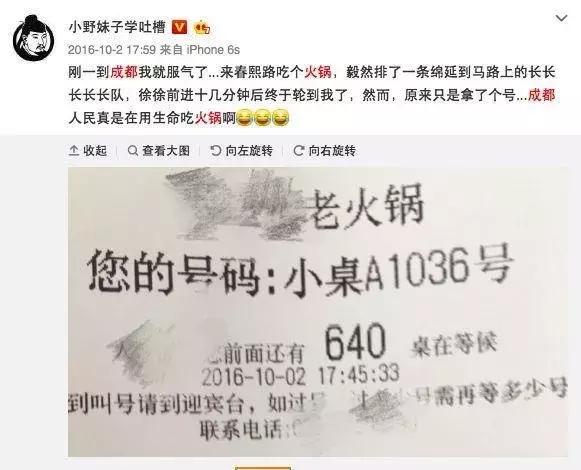 海鸥seagull被骗亏损揭秘!亲述亏损被骗的真相!，海鸥官方？
