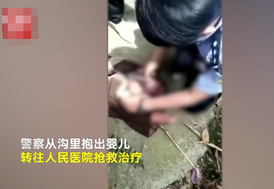                     刚出生的婴儿被弃臭水沟，清洁工发现时已危在旦夕满是苍蝇蛆卵