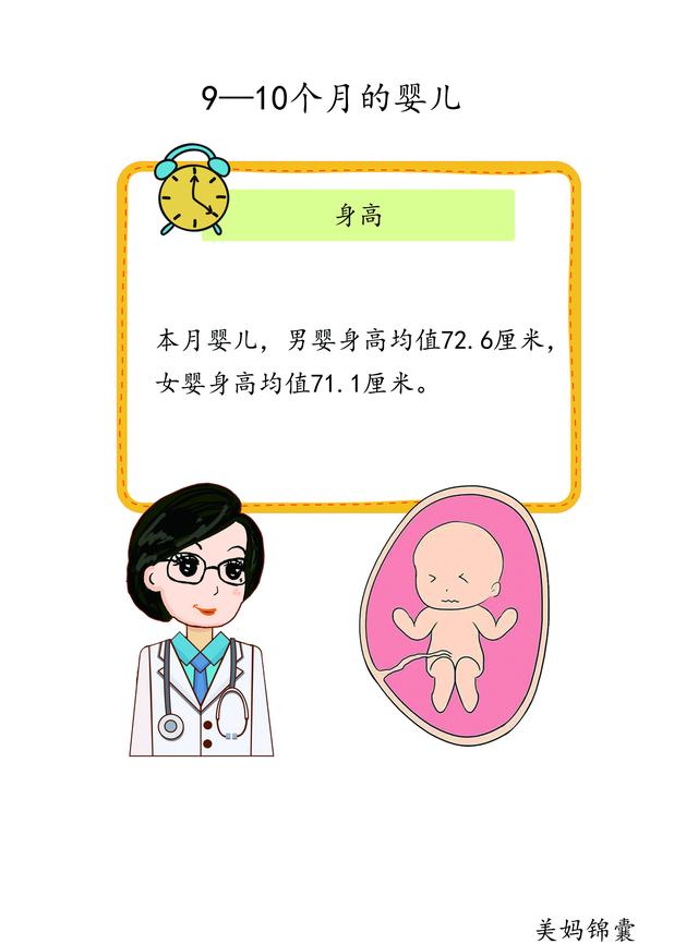 9 10个月婴儿身高体重对照表 Cm