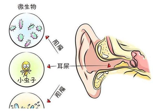                     宝宝的耳朵能不能掏，有耳屎怎么办？听听儿科医生怎么说