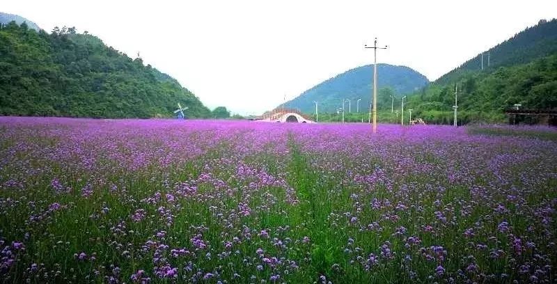 永州市双牌县茶林镇人口_永州市双牌县的照片