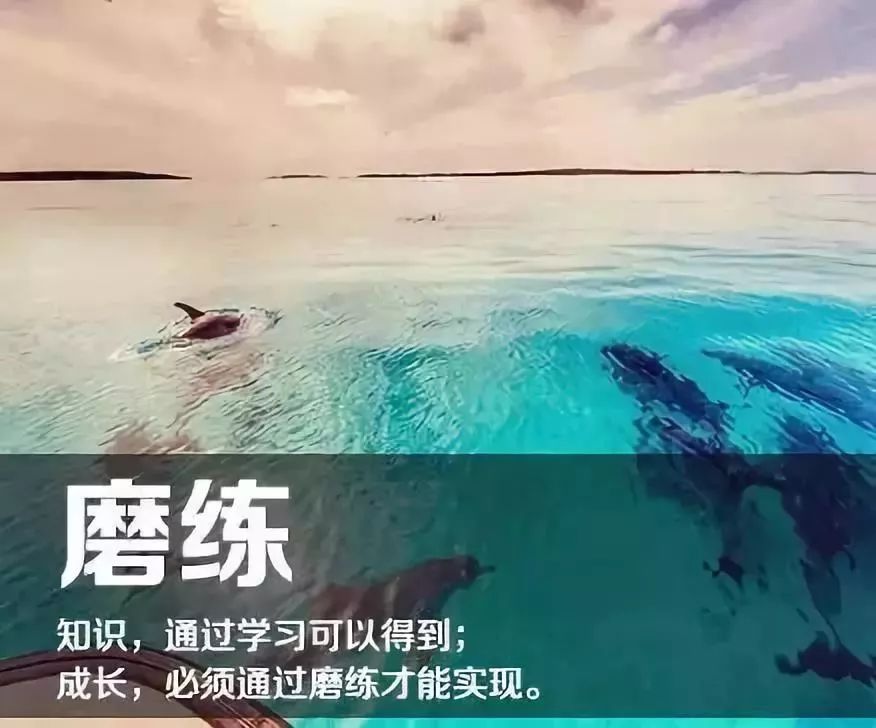 点击查看源网页
