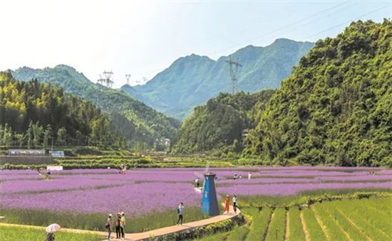 永州市双牌县茶林镇人口_永州市双牌县的照片