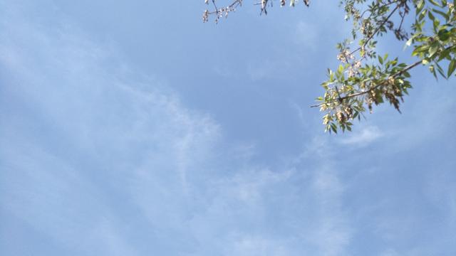 bf9a0a5325e84aa9b241f7049c14795c.jpeg