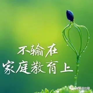 怎么样才能成为一个优秀的父亲 c2af609d64804d15b931cabfb1794e15.jpeg