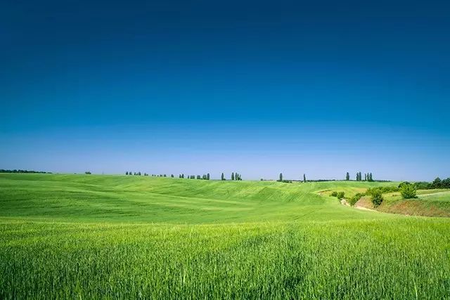 爱唱歌的草原歌曲 c444924b46df48c880cc97cfe72f5188.jpeg