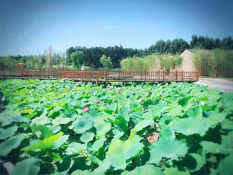 续远离城市喧嚣静享田园乐趣水岸潮白风景区