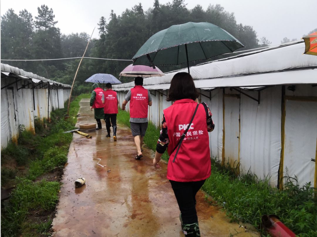 防汛救灾工作安排 eea754de70f2430880853ac52ca27028.jpeg