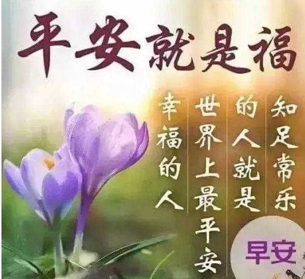 最新版清晨问候大家的早上好的漂亮图片 超温馨早安祝福语表情图片