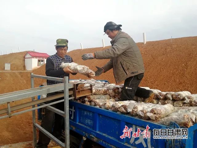 天祝县松山镇农民运输新栽植的菌种棒为加快发展现代食用菌产业,天祝