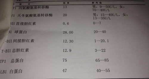 042bf01784a149c6b8d3a72b39668f5d.jpeg