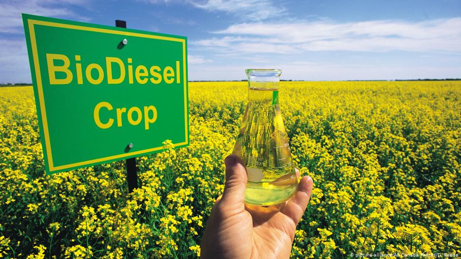 ���ô����Ͳ��ѳ��ڴ����2018���й�������27�ڼӱҵ��Ͳ��ѣ�ͼԴ��DW��