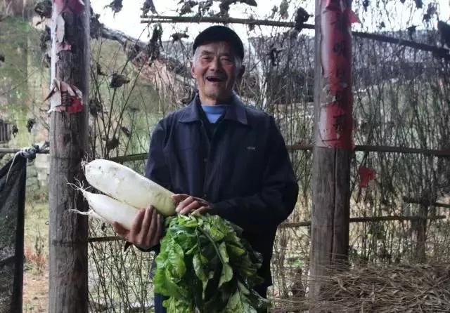 艰难的农企,只为实现这样的大义名分!---义乌征