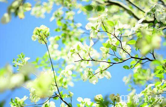 如何让自己内心阳光 1e3b0510ce8f4de6bb9b410e09f219c5.jpeg