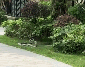 2bbf4d2a2eb545038e54751001058cad.gif