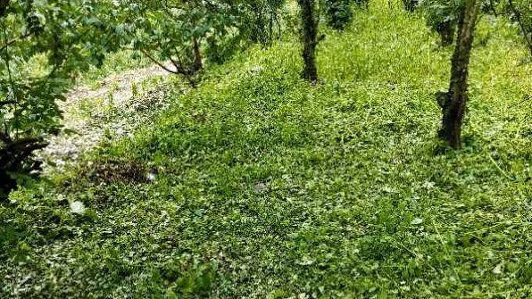 天灾无情人有情,风雨来临我不惧