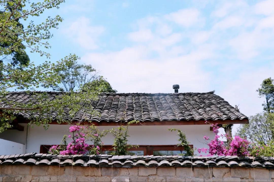 院子玩命猜成语_看图猜成语(3)