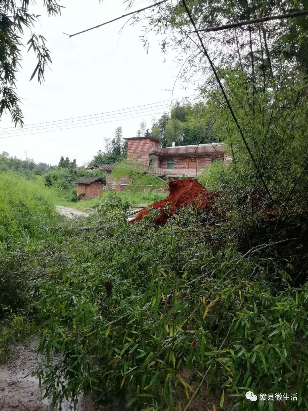 赣县多个乡镇遭暴雨袭击道路塌方车辆被冲农田被淹