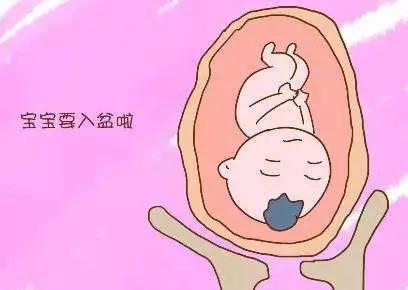 有的入盆当天就会生,有的则需要再等待1~2个月,有的妈妈可能会因为