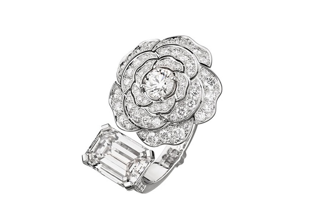 2019���Ĳ��ݴ������ݻ��鱦