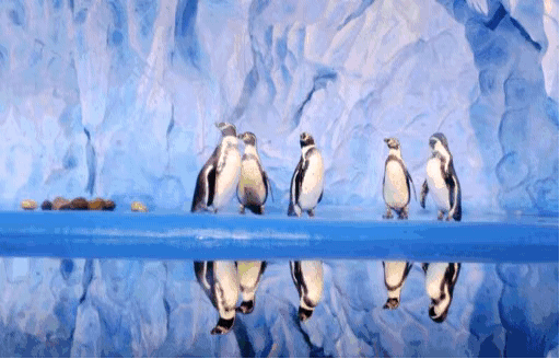 【6月15日】￥650|住五星首邑温泉,探秘欧乐堡,与极地