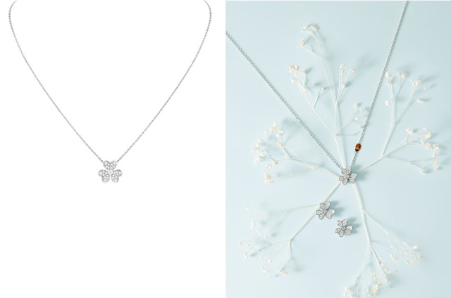 2019���Ĳ��ݴ������ݻ��鱦