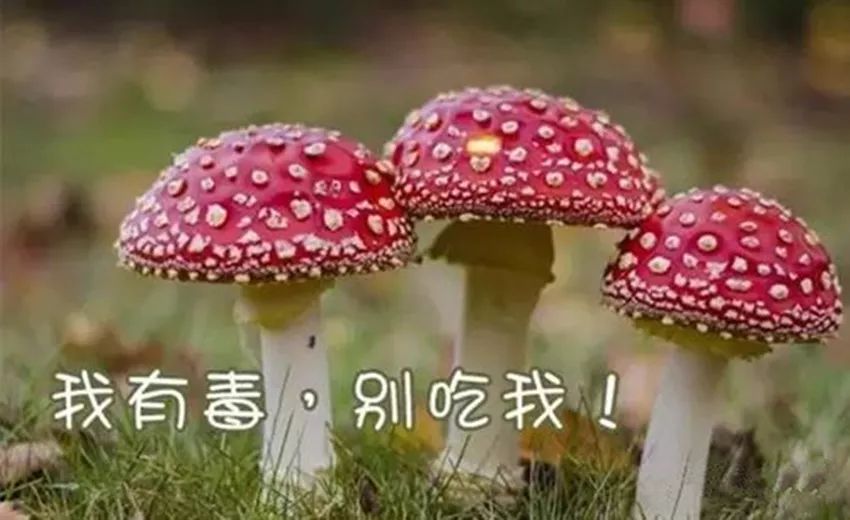 454cd19be63f4948ab13b03687ec4fb7.jpeg