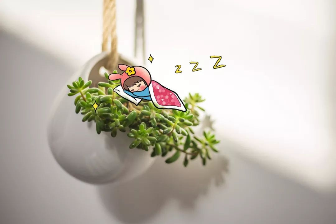 每天发发呆,孩子更健康!