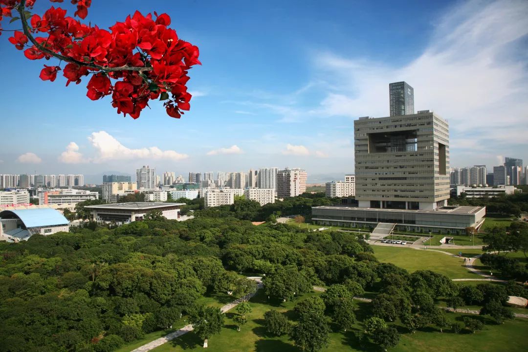 深圳大学2019院系介绍——建筑与城市规划学院_实践