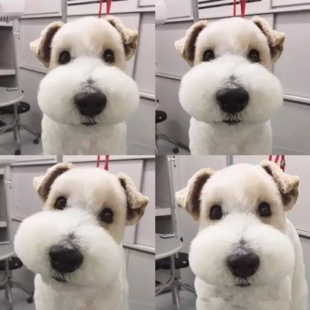 4e471af5b4a14fa8876d231514367570.jpeg