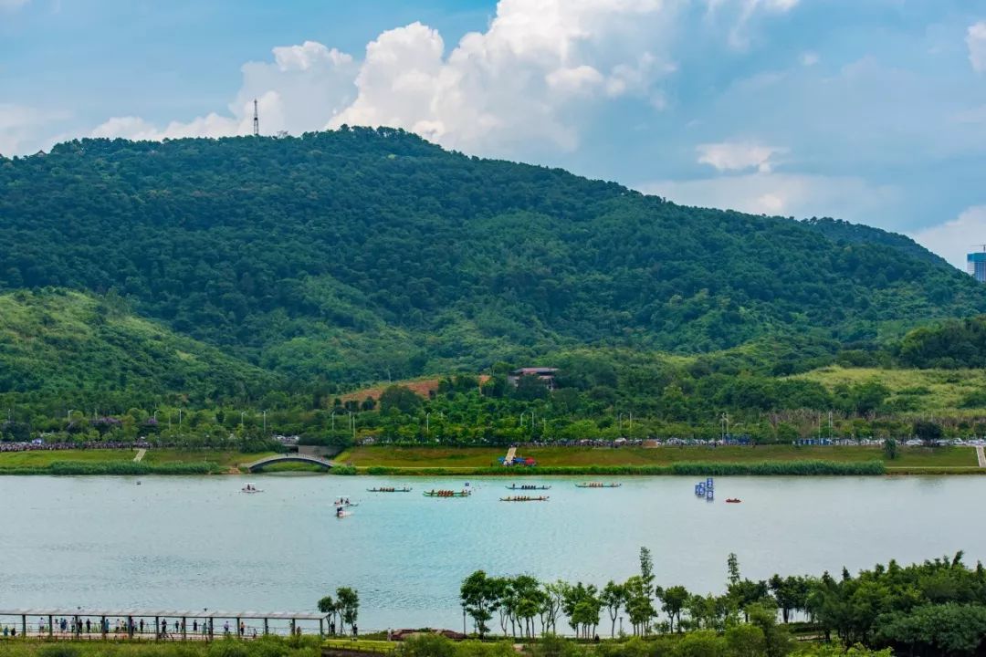 邕江龙舟赛圆满落幕但这里的阳台依然有你看不完的江山美景