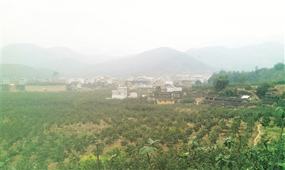 一 代 清 官 黄 元 规