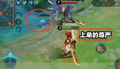 红蓝buff有什么用 658d6e3061fe42c09d69d9d70fe6d4c9.jpeg