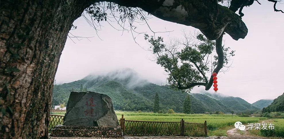 浮梁这个陶源古村不仅有世外的风景还有桃源般的生活