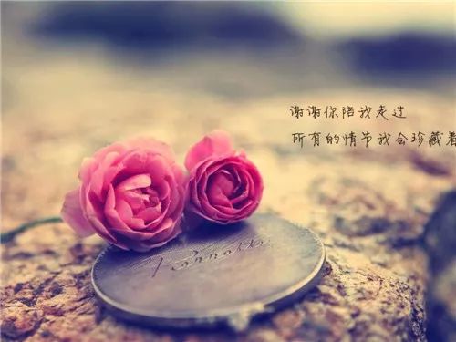 7ca9325348a841e287807243ab405b59.jpeg