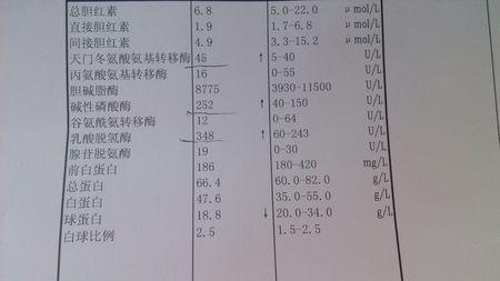 8477f8a8d7764b7baece3f9cfd049f35.jpeg