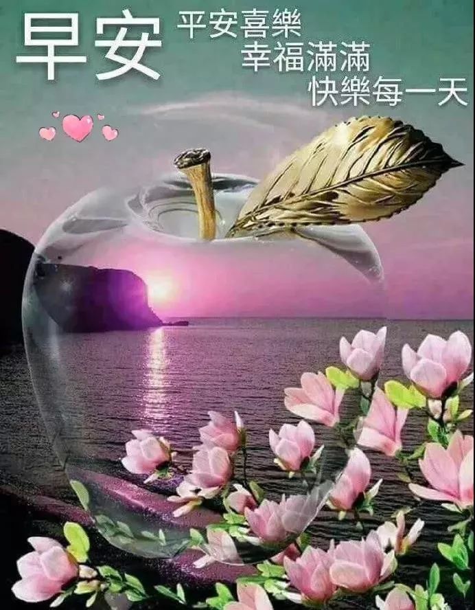 610һȺϺʺף̬ͼƬ 糿ʺ鶯̬