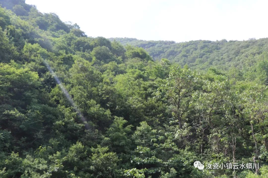 赵爱军|云水蟒川:此山此水此地_汝州市