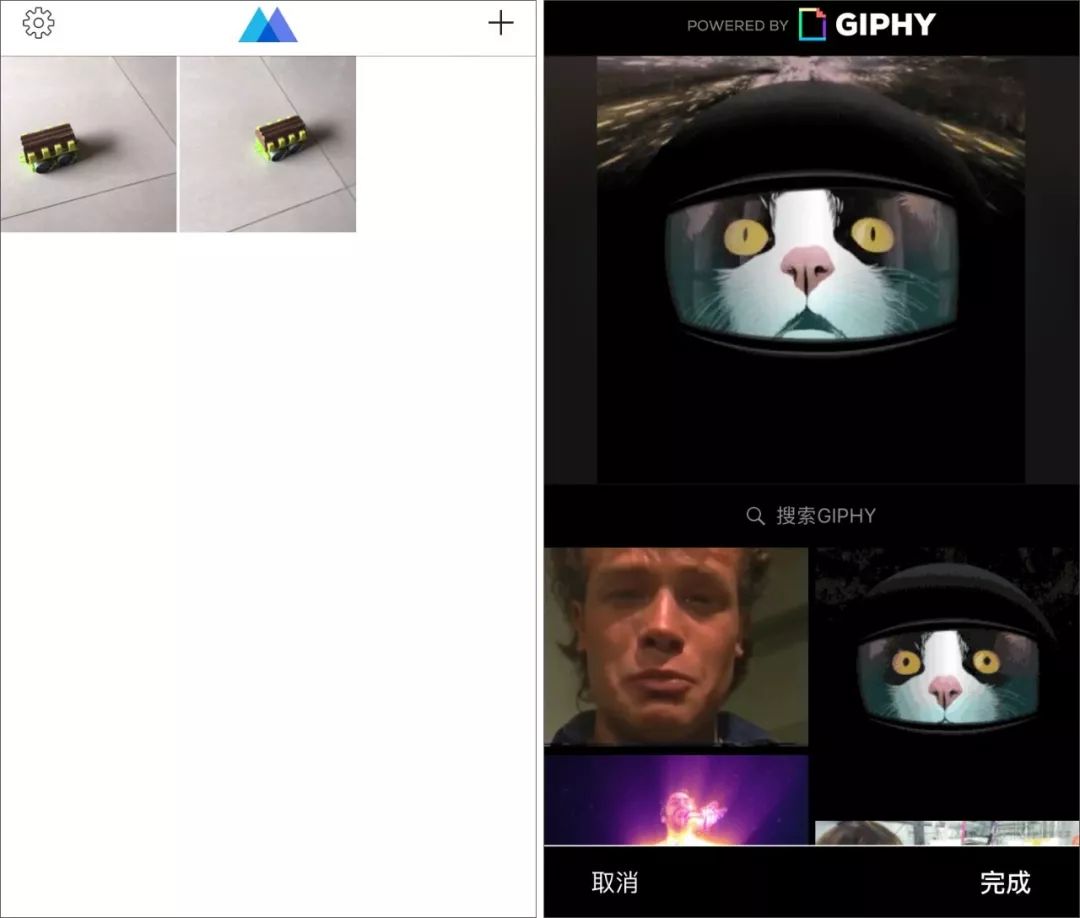 momento gifs 应用里还集成了giphy gif 图片搜索引擎,giphy 号称 gif