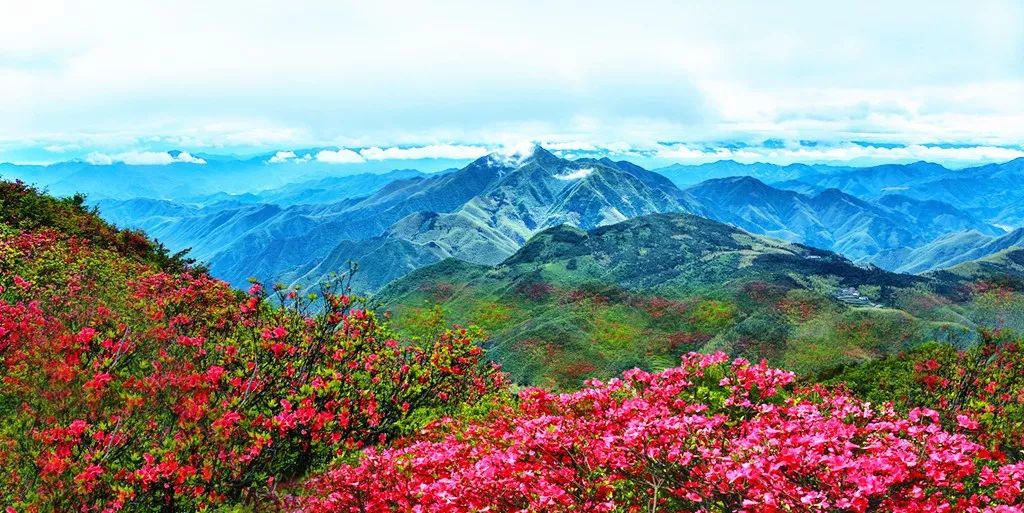 六春湖火山湿地它位于龙游,遂昌,衢江交界处,登顶便可