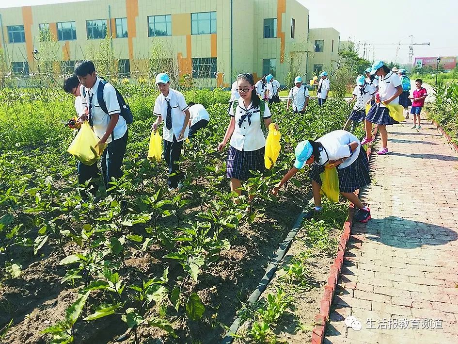 哈尔滨顺迈学校劳动教育引领办学方向基地建设造就一代英才