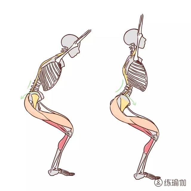 很多练习者也会在幻椅式中,会过度的收尾骨或者腰曲过大.