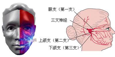 9b9ca09d94bb460aa0840d2f58ad5795.jpeg