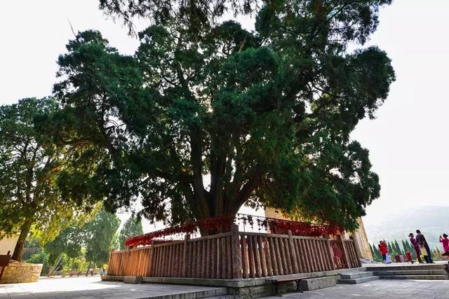 在济南四门塔遥想那个叫朗公的和尚